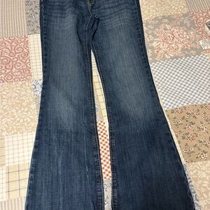 Cinch Dark Blue Flare Women's Jeans